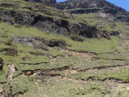 Eroded grassy slope